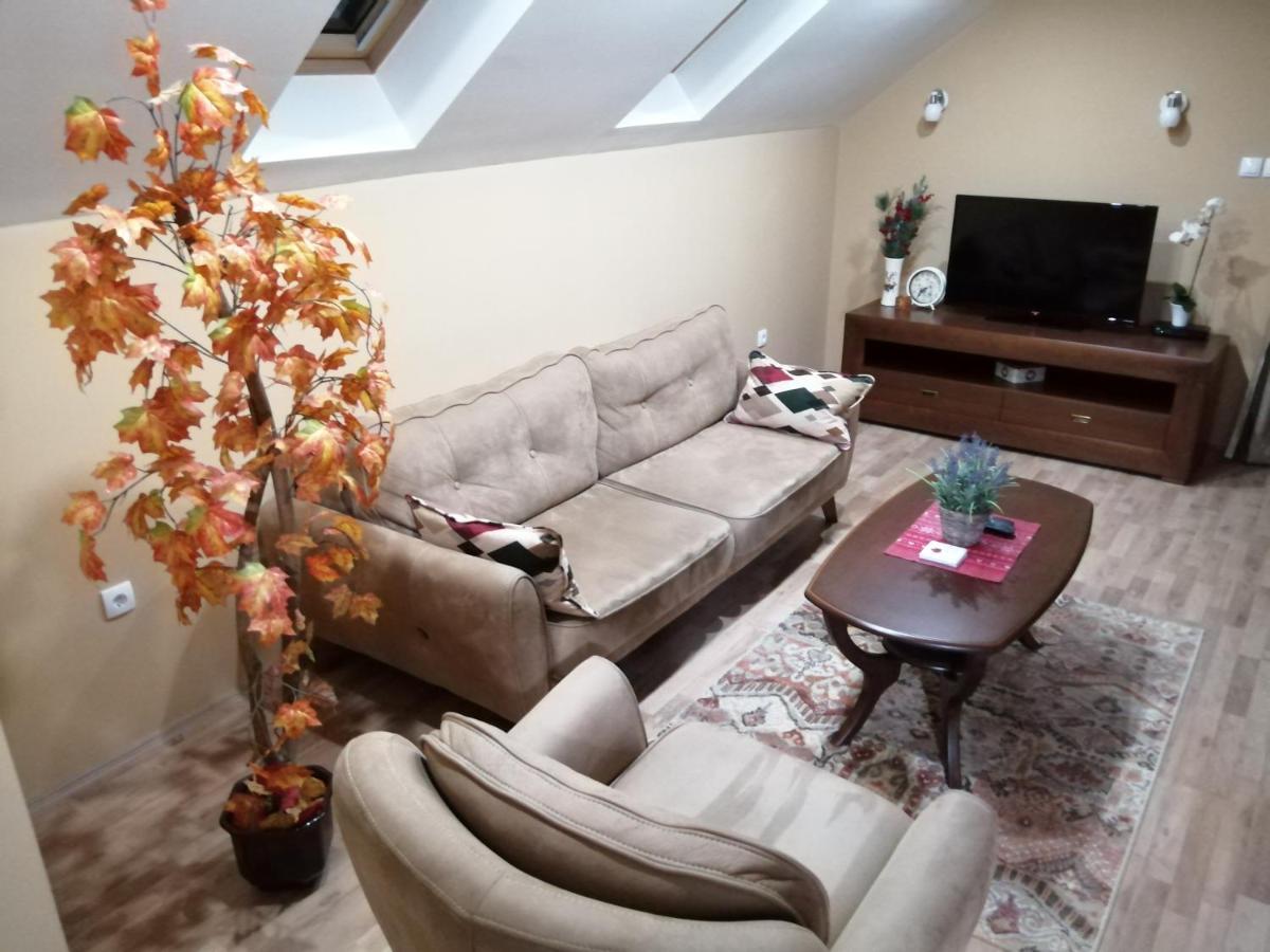 Apartmani Milosevic Иваница Екстериор снимка